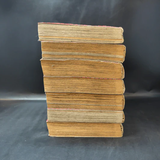 สิงห์นักปั่น เล่ม 1-6,9 รูปที่ 5