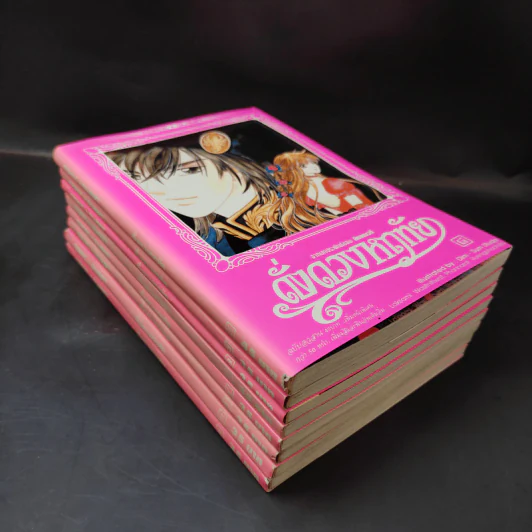 ดั่งดวงหฤทัย 8 เล่มจบ รูปที่ 8