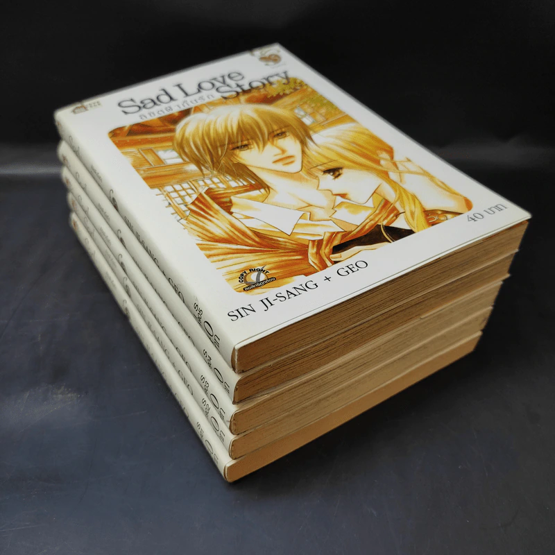 Sad Love Story ลิขิตฟ้ากั้นรัก 5 เล่มจบ รูปที่ 7