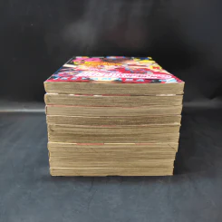 มิโดริจังกับเจ้าชายทั้งสิบเอ็ด 10 เล่มจบ รูปที่ 2