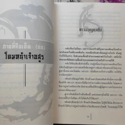 พยัคฆ์คู่ผงาดฟ้า 6 เล่มจบ - น.นพรัตน์ รูปที่ 12