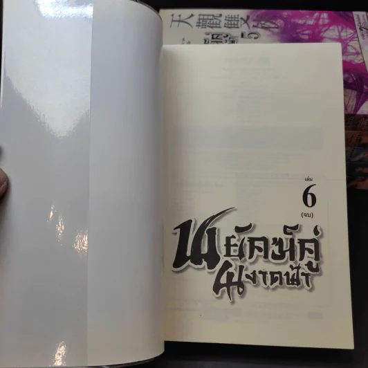 พยัคฆ์คู่ผงาดฟ้า 6 เล่มจบ - น.นพรัตน์ รูปที่ 9