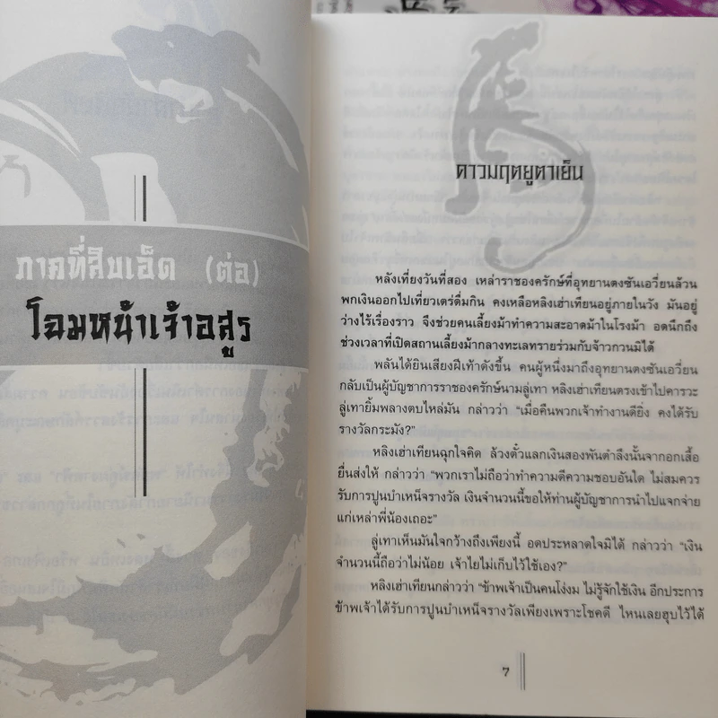 พยัคฆ์คู่ผงาดฟ้า 6 เล่มจบ - น.นพรัตน์ รูปที่ 12