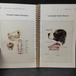 Hill's Pocket Atlas of Veterinary Chinical Anatomy รูปที่ 7