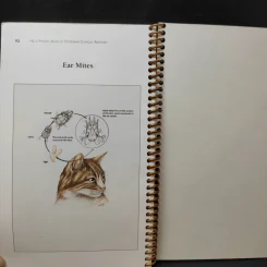 Hill's Pocket Atlas of Veterinary Chinical Anatomy รูปที่ 8