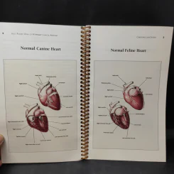 Hill's Pocket Atlas of Veterinary Chinical Anatomy รูปที่ 6