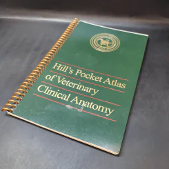 Hill's Pocket Atlas of Veterinary Chinical Anatomy รูปที่ 12