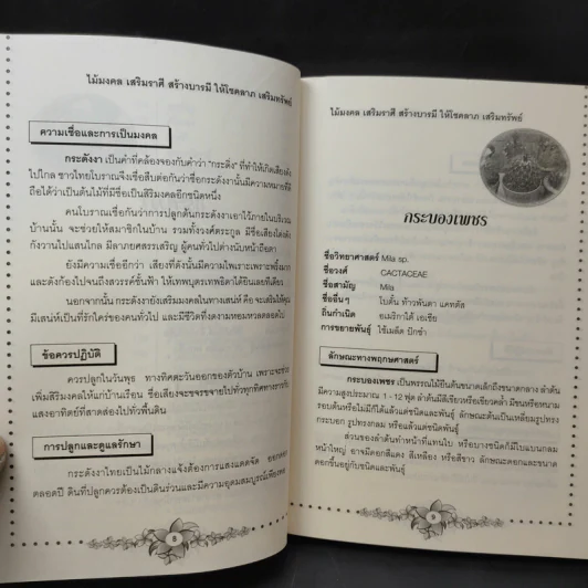 ไม้มงคล เสริมราศี สร้างบารมี ให้โชคลาภ เสริมทรัพย์ - อ.วันโชค รูปที่ 10
