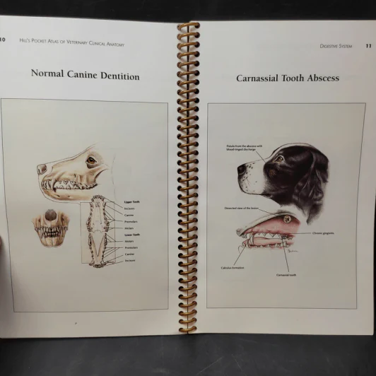 Hill's Pocket Atlas of Veterinary Chinical Anatomy รูปที่ 7