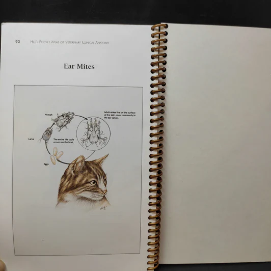 Hill's Pocket Atlas of Veterinary Chinical Anatomy รูปที่ 8