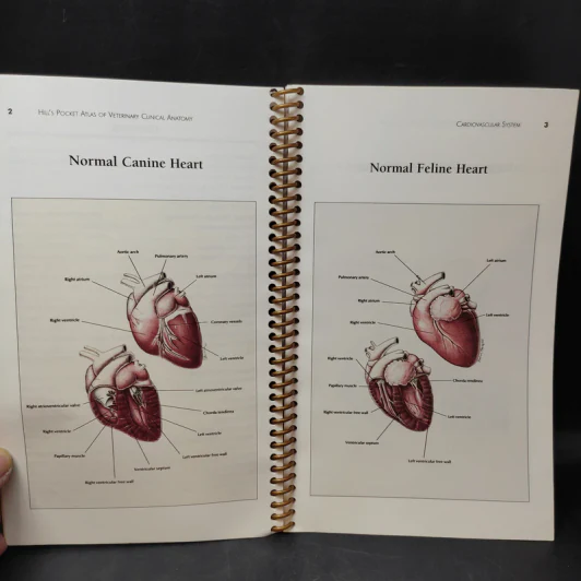Hill's Pocket Atlas of Veterinary Chinical Anatomy รูปที่ 6