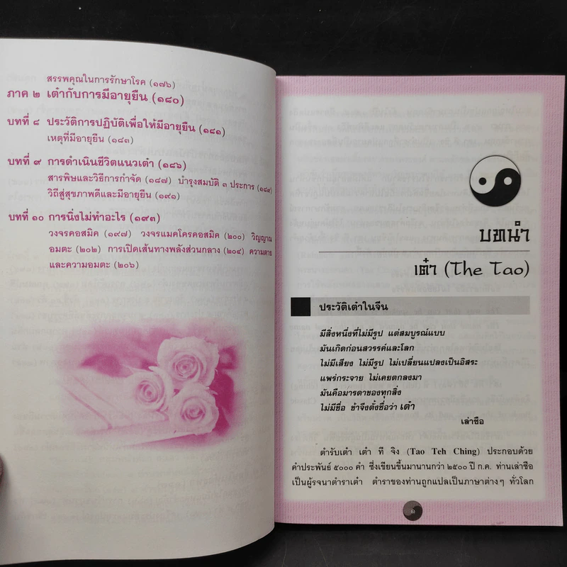 คู่มือข้างหมอน อันดับ 6 พ.ศ.2549 - เดเนียล เรด, พีระ บุญจริง รูปที่ 12