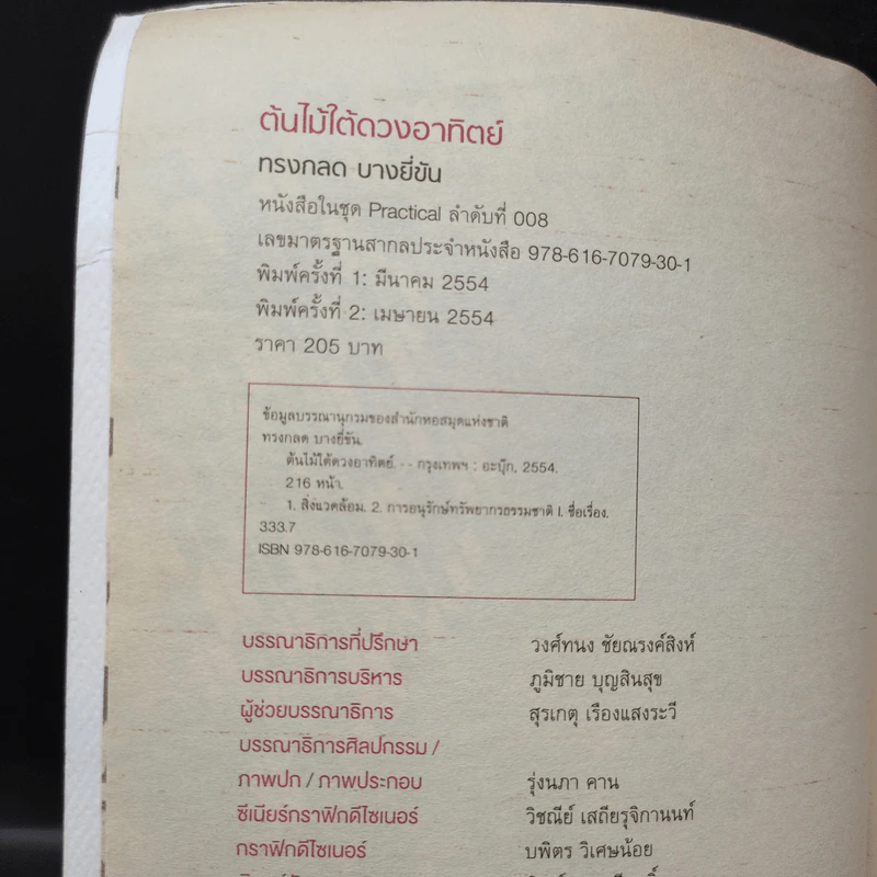 ต้นไม้ใต้ดวงอาทิตย์ - ทรงกลด บางยี่ขัน รูปที่ 8
