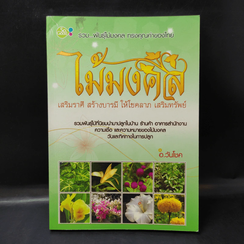 ไม้มงคล เสริมราศี สร้างบารมี ให้โชคลาภ เสริมทรัพย์ - อ.วันโชค รูปที่ 1