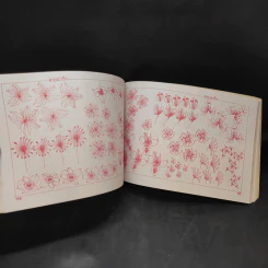 ลายน่ารัก - ราชพฤกษ์ และคณะ รูปที่ 12