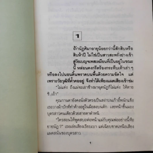 ละครเล่ห์เสน่หา - กิ่งฉัตร รูปที่ 11