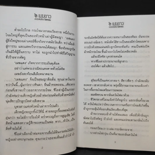 เมฆขาว 2 เล่มจบ - โรสลาเรน รูปที่ 11