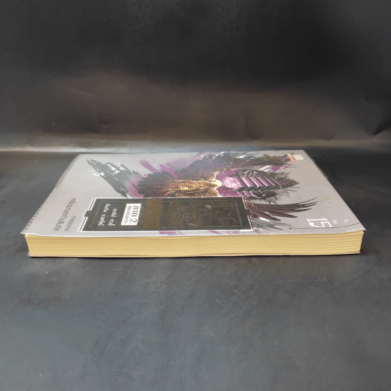 เหยี่ยวมารสัประยุทธ์สิบทิศ ภาค 2 เล่ม 15 - น.นพรัตน์ แปล รูปที่ 5