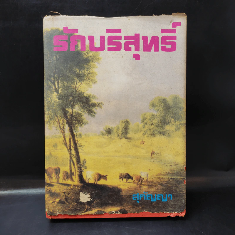รักบริสุทธิ์ - สุกัญญา รูปที่ 1