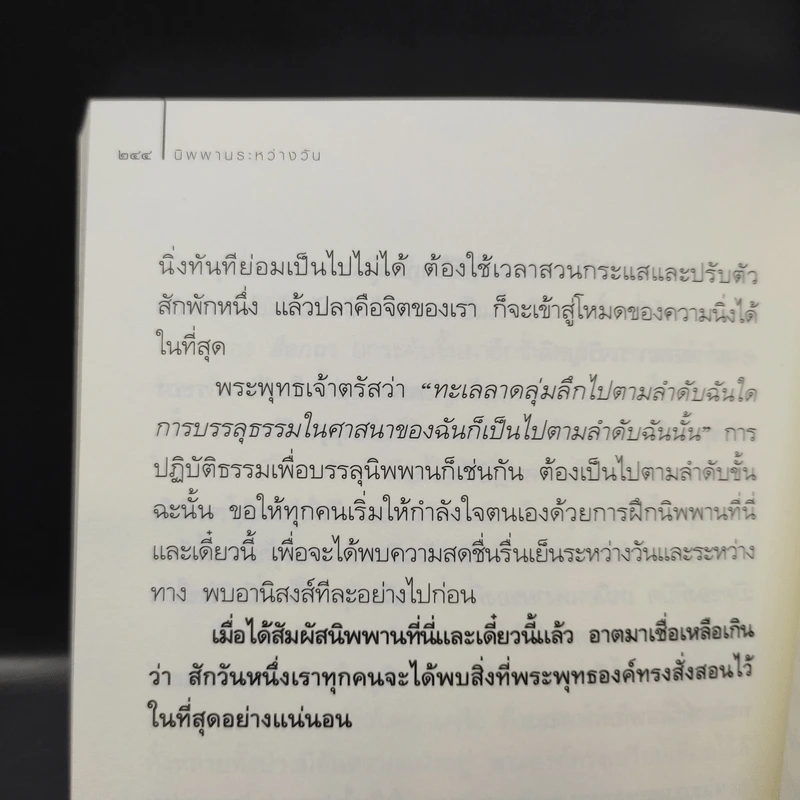 นิพพานระหว่างวัน - ว.วชิรเมธี รูปที่ 11