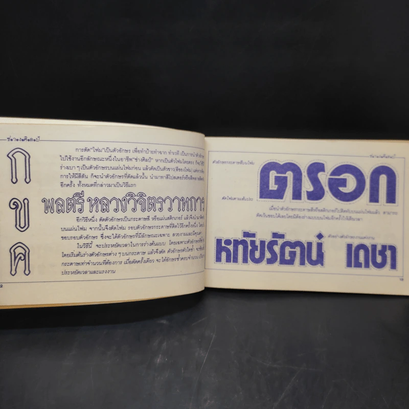 ช่างศิลป์ ภาพวาดรถยนต์ เครื่องบิน คน ต้นไม้ อักษรไทย และอื่นๆ รูปที่ 12