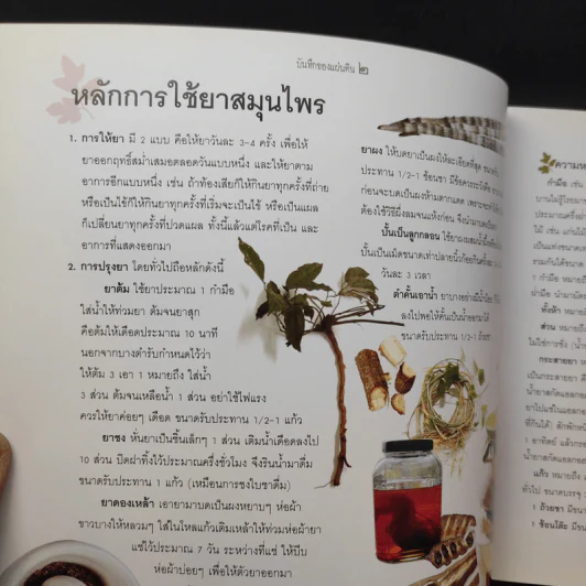 บันทึกของแผ่นดิน 2 ผักเป็นยารักษาชีวิต - ภญ.ดร.สุภาภรณ์ ปิติพร รูปที่ 10