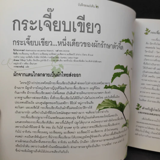 บันทึกของแผ่นดิน 2 ผักเป็นยารักษาชีวิต - ภญ.ดร.สุภาภรณ์ ปิติพร รูปที่ 12