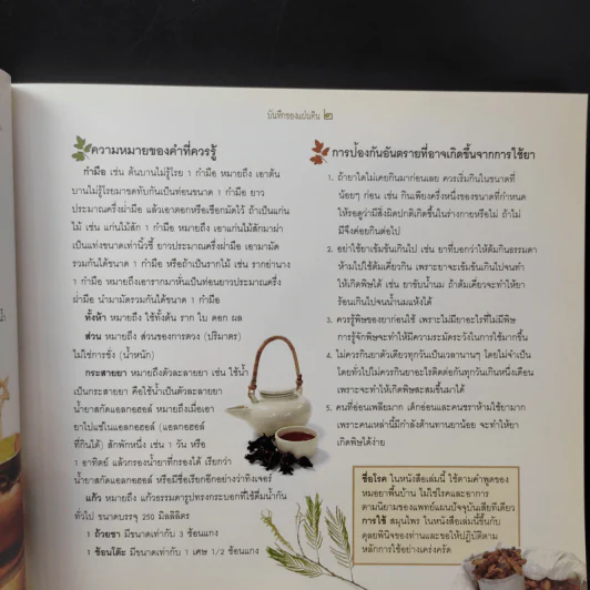 บันทึกของแผ่นดิน 2 ผักเป็นยารักษาชีวิต - ภญ.ดร.สุภาภรณ์ ปิติพร รูปที่ 11