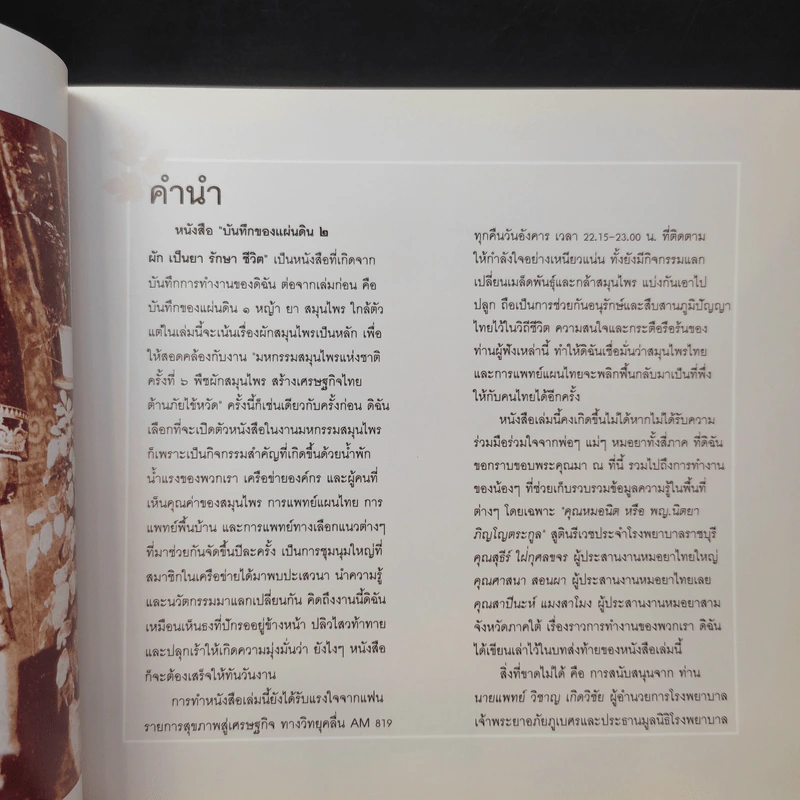 บันทึกของแผ่นดิน 2 ผักเป็นยารักษาชีวิต - ภญ.ดร.สุภาภรณ์ ปิติพร รูปที่ 8