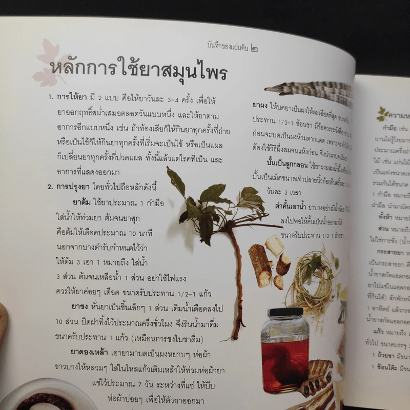 บันทึกของแผ่นดิน 2 ผักเป็นยารักษาชีวิต - ภญ.ดร.สุภาภรณ์ ปิติพร รูปที่ 10