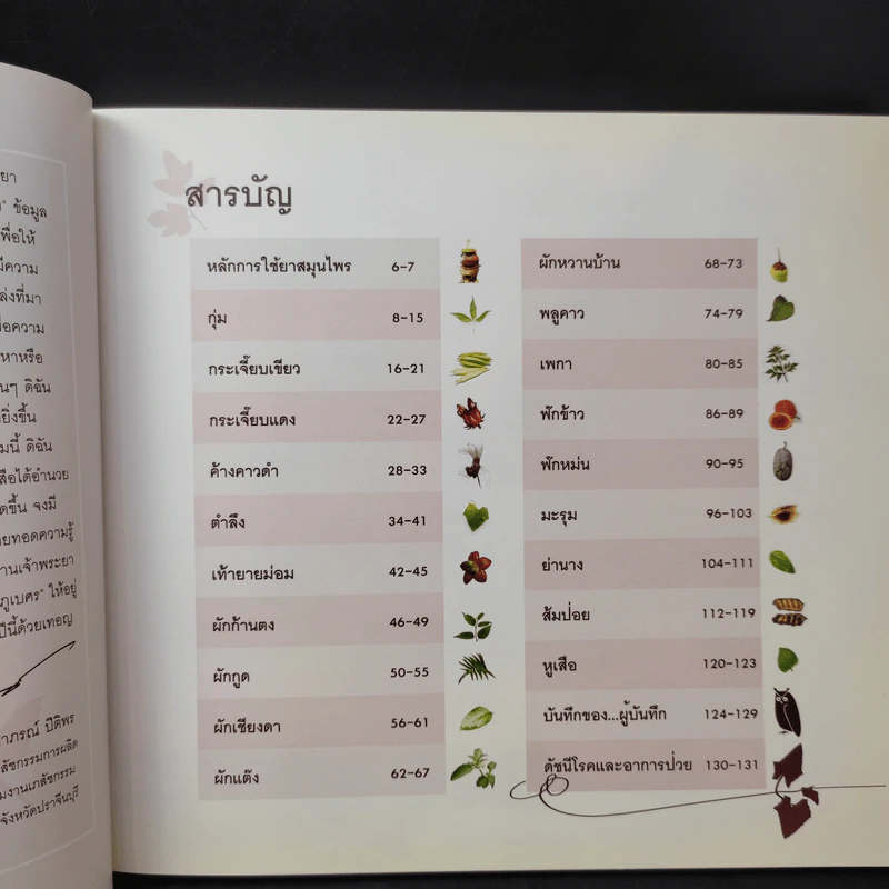 บันทึกของแผ่นดิน 2 ผักเป็นยารักษาชีวิต - ภญ.ดร.สุภาภรณ์ ปิติพร รูปที่ 9