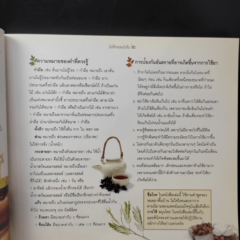 บันทึกของแผ่นดิน 2 ผักเป็นยารักษาชีวิต - ภญ.ดร.สุภาภรณ์ ปิติพร รูปที่ 11