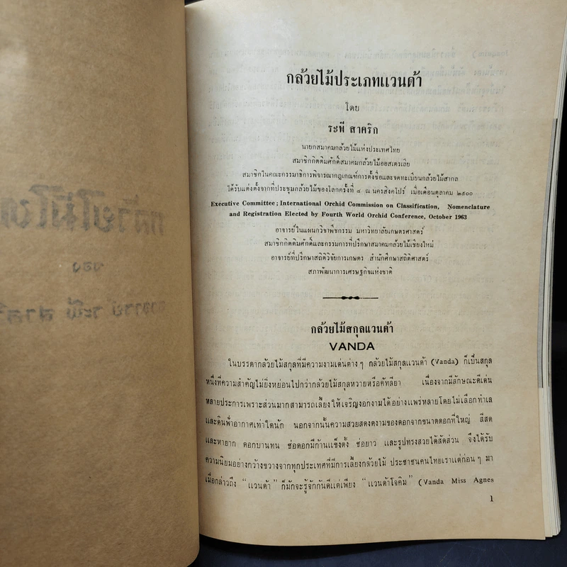 กล้วยไม้ไทย ของอาจารย์ระพี สาคริก (อนุสรณ์งานพระราชทานเพลิงศพพลตรี พล ศรินทุ) รูปที่ 11
