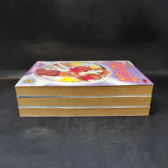 หน้ากากแก้ว เล่ม 40-42 รูปที่ 4