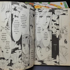 ตะวันรักที่ปลายฟ้า เล่ม 17-19,21-28 รูปที่ 14