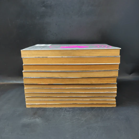 Evangelion เอวานเกเลียน เล่ม 1-11 รูปที่ 4