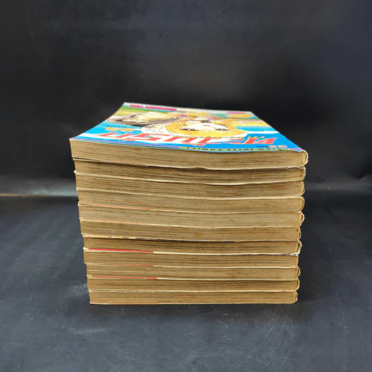 ตะวันรักที่ปลายฟ้า เล่ม 17-19,21-28 รูปที่ 5