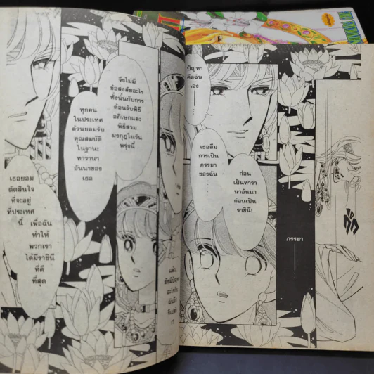 ตะวันรักที่ปลายฟ้า เล่ม 17-19,21-28 รูปที่ 14