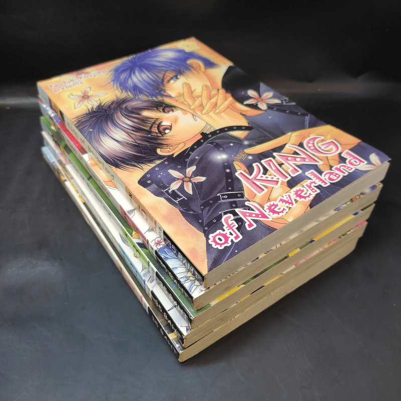 การ์ตูนวาย King of Neverland 5 เล่มจบ รูปที่ 7