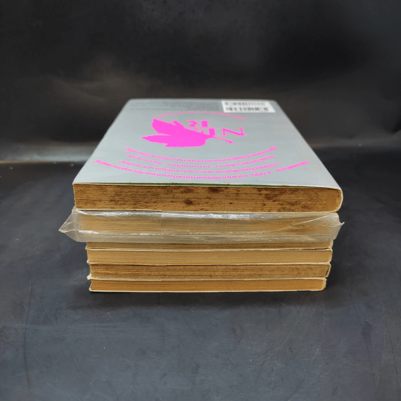 Evangelion เอวานเกเลียน เล่ม 3-8 รูปที่ 5