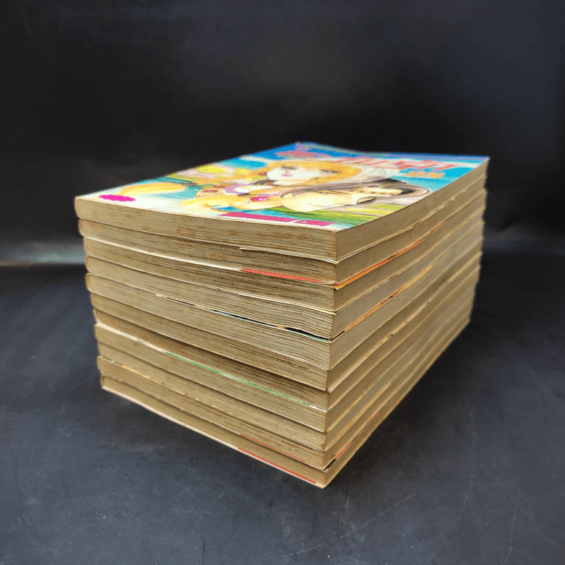 ตะวันรักที่ปลายฟ้า เล่ม 17-19,21-28 รูปที่ 6