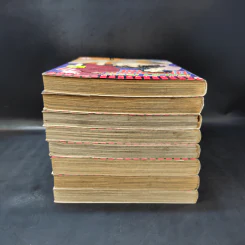 คินดะอิจิ กับคดีฆาตกรรมปริศนา เล่ม 1-8 รูปที่ 5