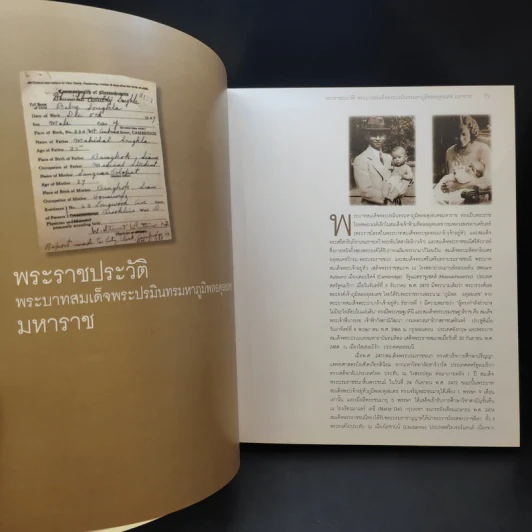 ภาพจิตรกรรมฝีพระหัตถ์รัชกาลที่ 9 รูปที่ 13