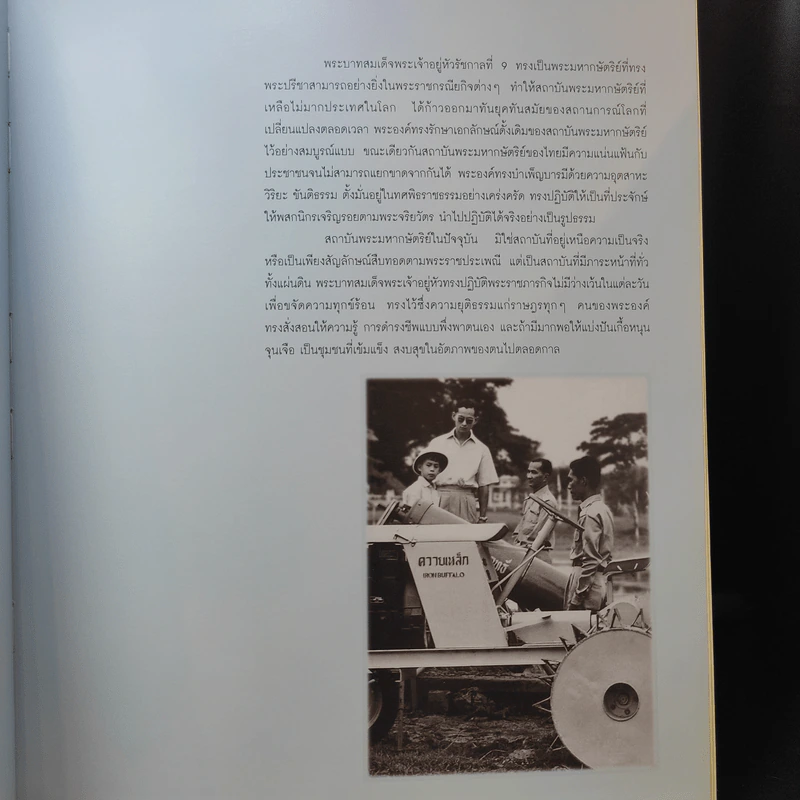 ภาพจิตรกรรมฝีพระหัตถ์รัชกาลที่ 9 รูปที่ 11