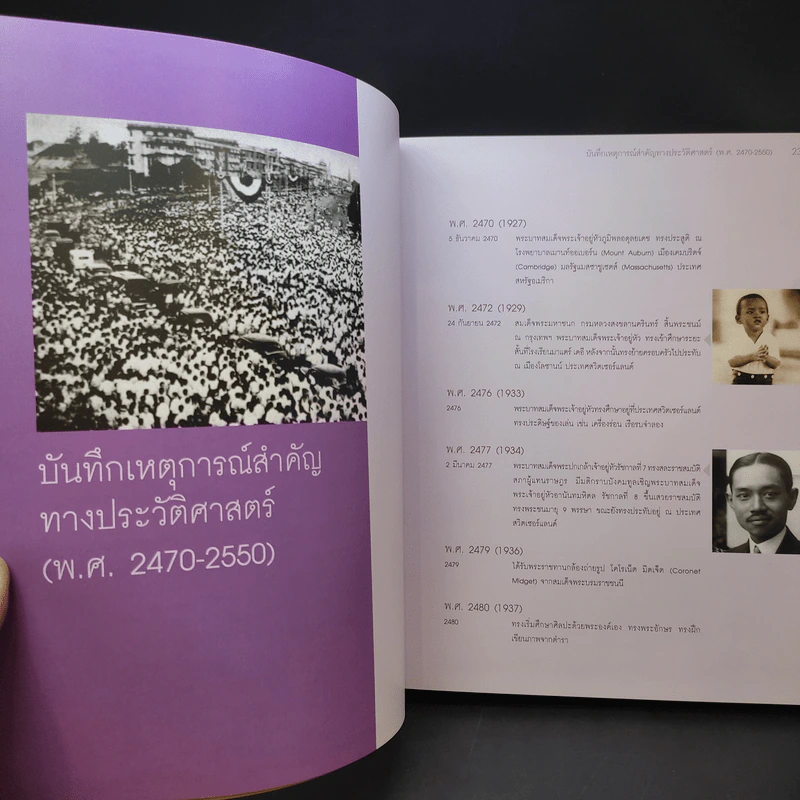 ภาพจิตรกรรมฝีพระหัตถ์รัชกาลที่ 9 รูปที่ 14