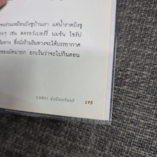 ไม่มีอะไรในเกาหลีเหนือ - กุลธิดา รุ่งเรืองเกียรติ รูปที่ 14