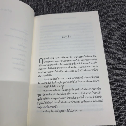 ใครคือเจ้าของบ้าน ฉันหรือแมว รูปที่ 12
