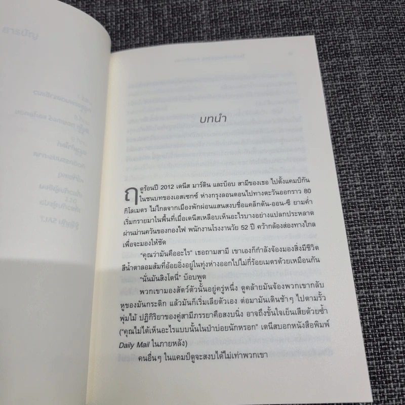 ใครคือเจ้าของบ้าน ฉันหรือแมว รูปที่ 12