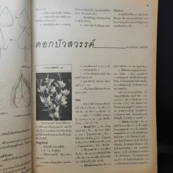 ขวัญเรือน ฉบับ งานฝีมือ ฉบับที่ 106 มี.ค.2536 รูปที่ 13