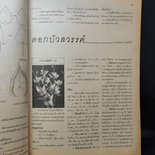 ขวัญเรือน ฉบับ งานฝีมือ ฉบับที่ 106 มี.ค.2536 รูปที่ 13